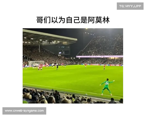 全球82种球迷助威术语汇集 助你成为足球场上最强应援团